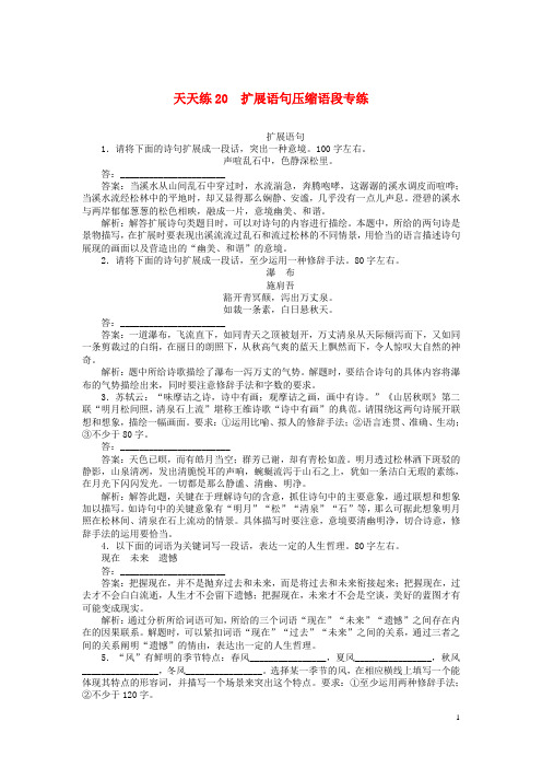 高考语文复习练习题 扩展语句压缩语段专练含解析