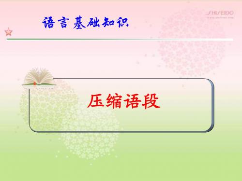 压缩语段