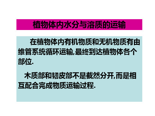植物体内水分与溶质的运输