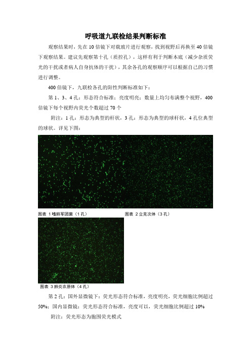 呼吸道九联检结果判断标准