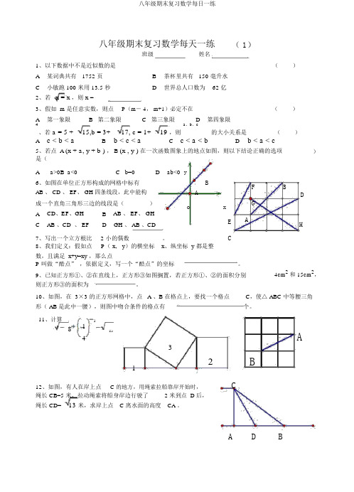 八年级期末复习数学每日一练