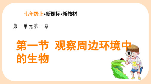 观察周边环境中的生物 课件+2024-2025学年人教版七年级生物上册