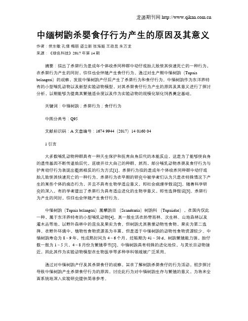 中缅树鼩杀婴食仔行为产生的原因及其意义