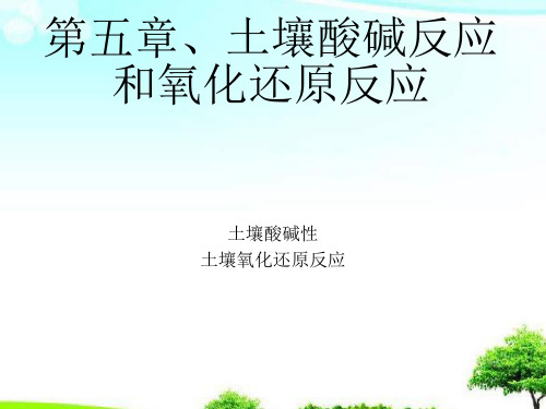 中小学课件土壤酸碱反应和氧化还原反应.ppt