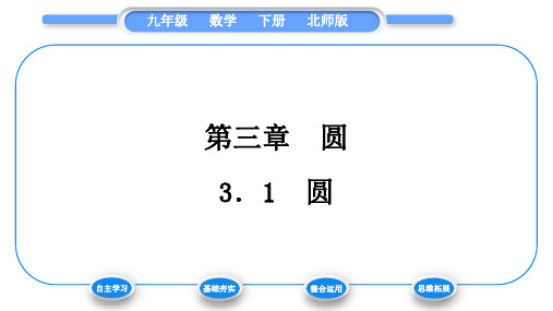 北师大版九年级数学下第三章圆3