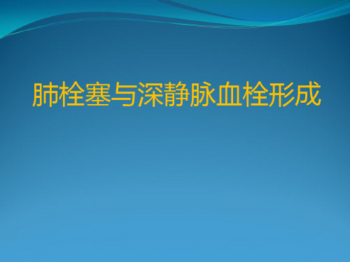 肺栓塞定稿28(修改)