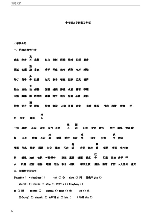 中考语文字词复习专项