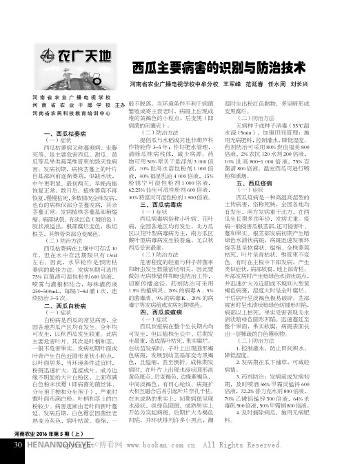 西瓜主要病害的识别与防治技术