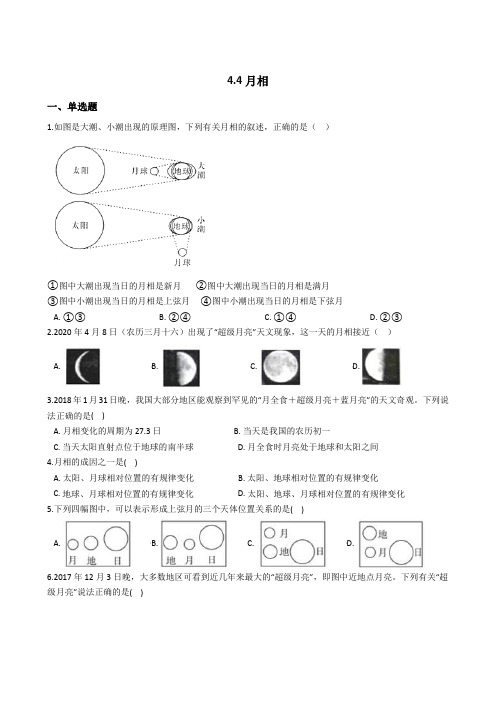 2020-2021学年浙教版科学七年级下册4.4月相(解析版)