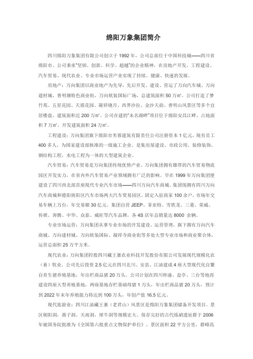 绵阳万象集团简介业务章