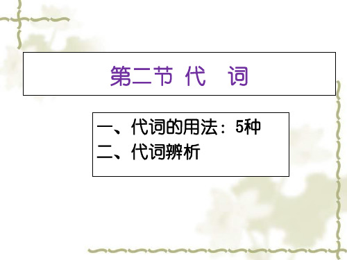 广东省广州市中考英语总复习课件 第二节 代词 (共17张PPT)