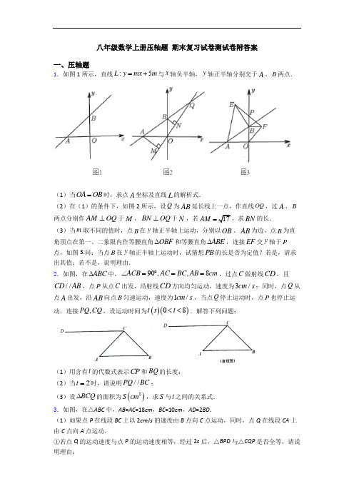 八年级数学上册压轴题 期末复习试卷测试卷附答案