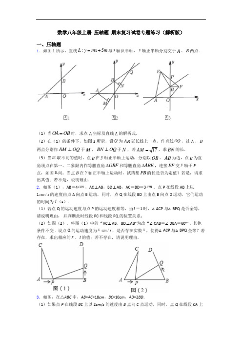 数学八年级上册 压轴题 期末复习试卷专题练习(解析版)