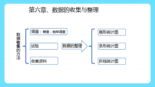 七年级数学上第六章数据的收集与整理