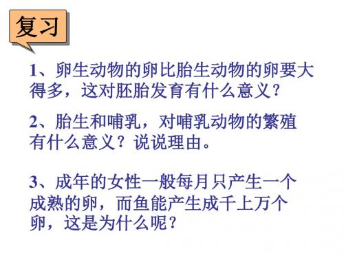 动物新老个体的更替第二课时