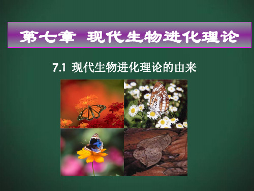 7.1现代生物进化理论的由来