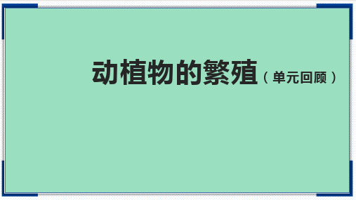 人教鄂教版小学科学四上-【第02单元 动植物的繁殖 课件 (103张ppt)】