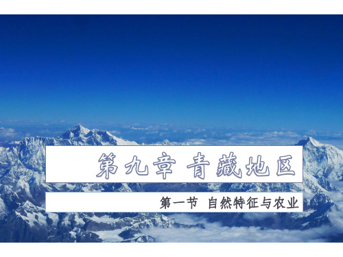 人教版八下9.1 自然特征与农业课件