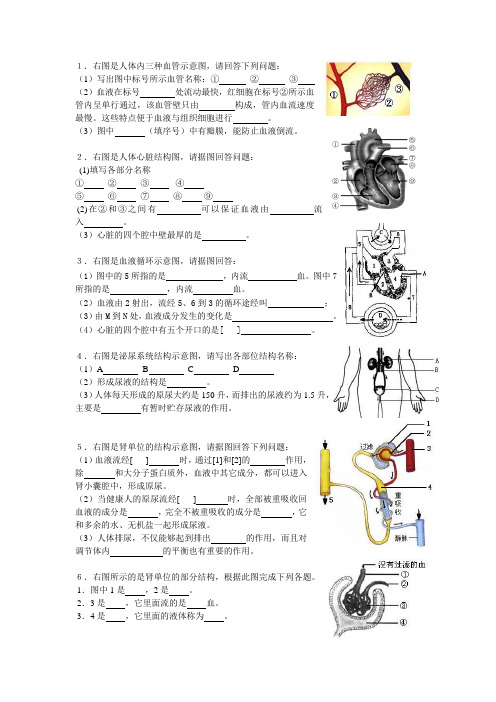 七下生物期末填图