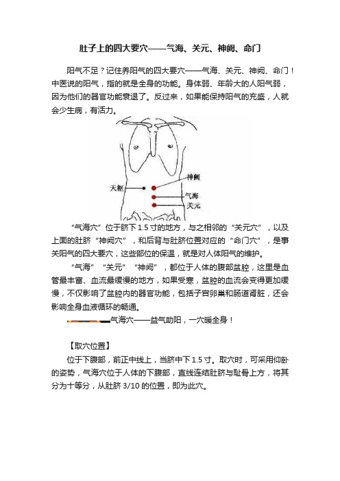 肚子上的四大要穴——气海、关元、神阙、命门