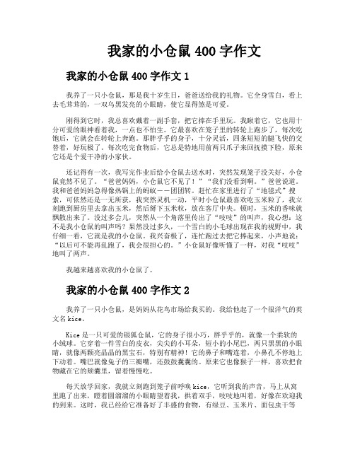 我家的小仓鼠400字作文