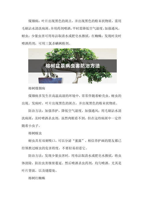 榕树盆景病虫害防治方法