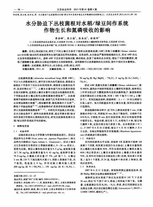 水分胁迫下丛枝菌根对水稻／绿豆间作系统作物生长和氮磷吸收的影响