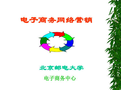 电子商务网络营销(PPT74).pptx