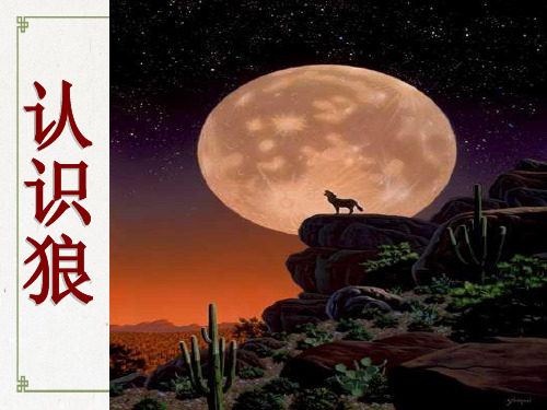 部编版七年级上册第课《狼》PPT课件