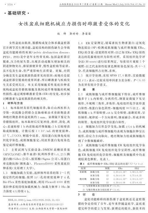 女性盆底细胞机械应力损伤时雌激素受体的变化