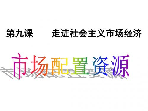 广东省揭阳市第三中学人教版政治必修一9.1市场配置资源 课件