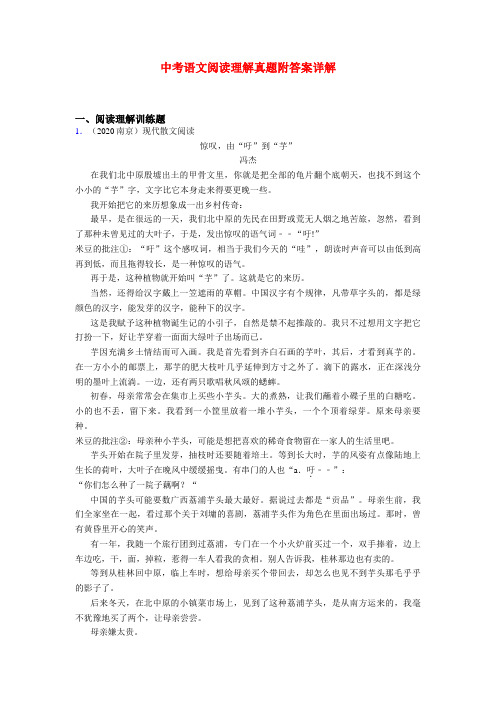 江苏中考语文现代文阅读训练试题带答案精选共20篇汇总