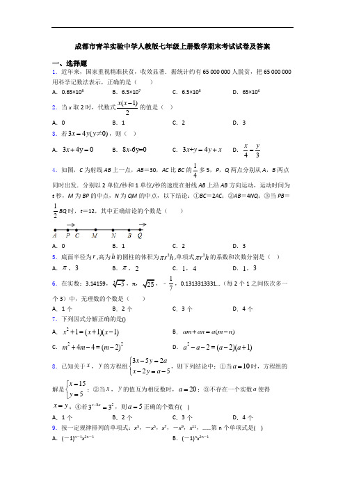 成都市青羊实验中学人教版七年级上册数学期末考试试卷及答案