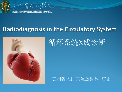 循环系统X线诊断-英文