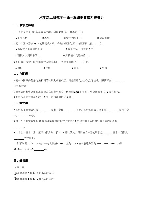 2022六年级上册数学一课一练 5.1图形的放大和缩小 西师大版 