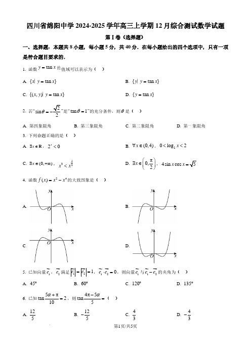 2025届绵阳中学高三12月综合测试数学试题+答案