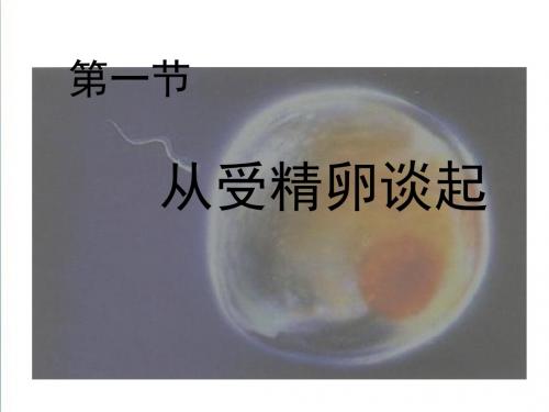 2018-2019学年高中生物课件：3.1从受精卵谈起(2)(浙科版选修三)