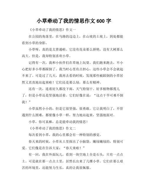 小草牵动了我的情思作文600字