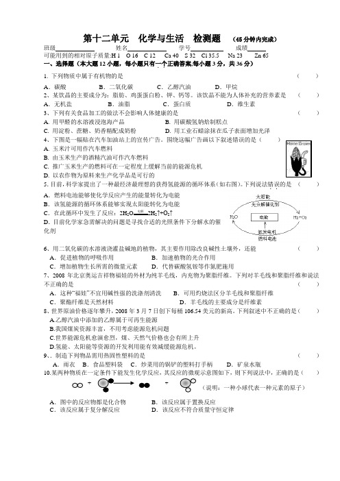 新版人教版初三九年级下册化学第12单元  与生活  检测题 