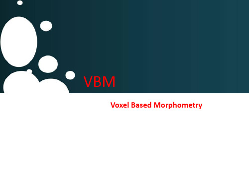 vbm