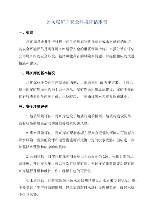 公司尾矿库安全环境评估报告