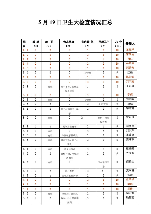 5月19日卫生大检查情况汇总概要