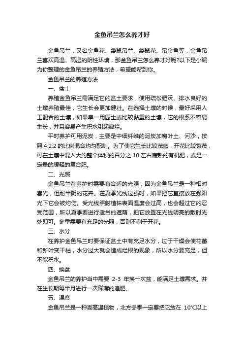 金鱼吊兰怎么养才好