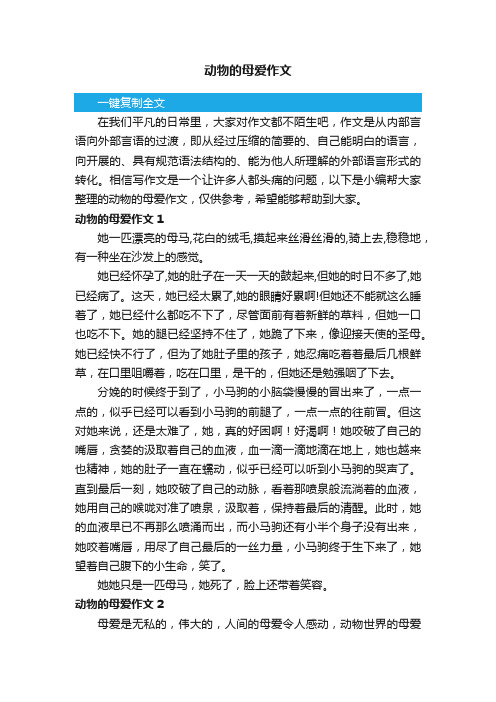 动物的母爱作文14篇