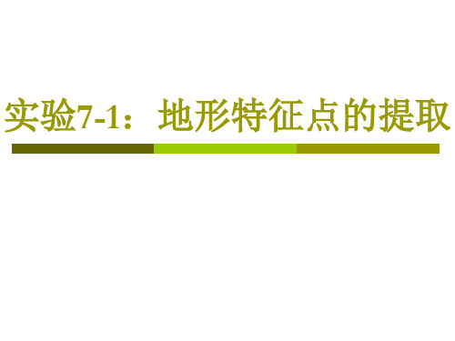 地理信息科学实验：地形特征点的提取