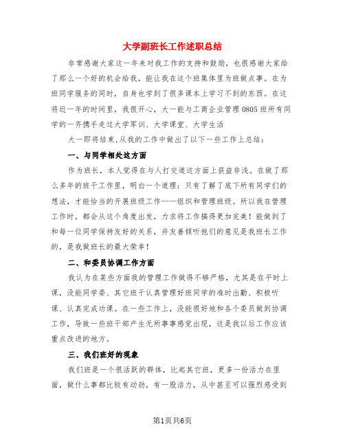 大学副班长工作述职总结(3篇)