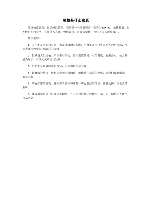 顿悟是什么意思