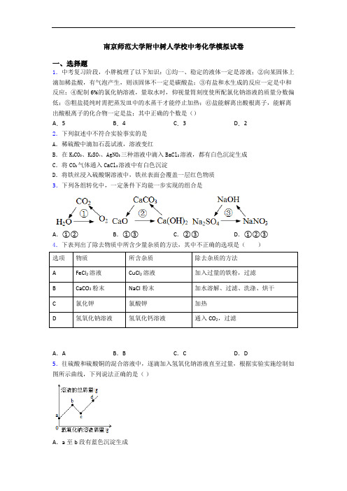 南京师范大学附中树人学校中考化学模拟试卷