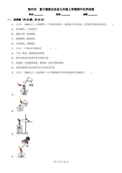 贺州市 富川瑶族自治县九年级上学期期中化学试卷