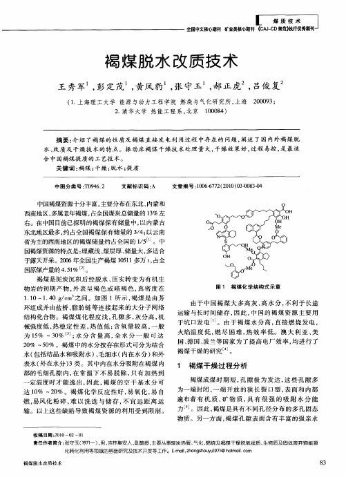 褐煤脱水改质技术